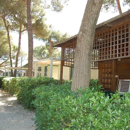 camping feniglia-3